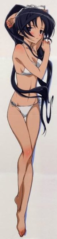 BUY NEW sky girls - 170764 Premium Anime Print Poster
